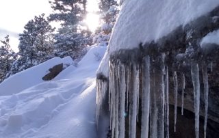 Winter splendor on back hill