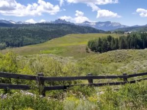 Meadow and mountains in Gunnison County