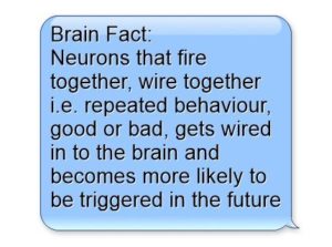 Neurons that fire together, wire togther