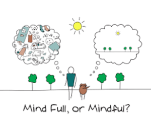 Mind Full or Mindful image